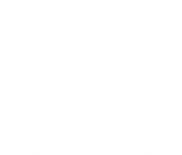 Forest Fight Club Bodrum – Boks – Kick Boks – Muay Thai | Birtan Tapar – Mert Özen 